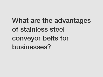 What are the advantages of stainless steel conveyor belts for businesses?