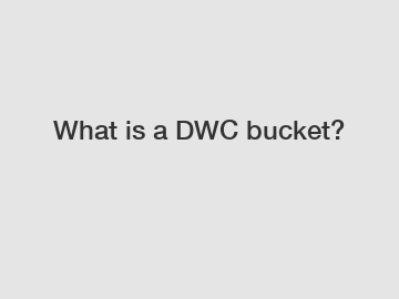 What is a DWC bucket?