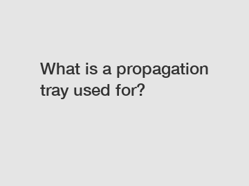 What is a propagation tray used for?