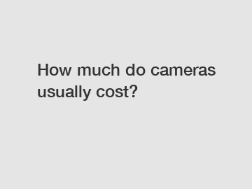 How much do cameras usually cost?
