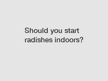 Should you start radishes indoors?