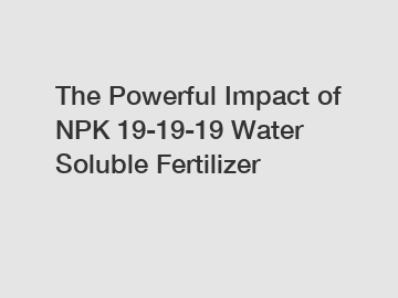 The Powerful Impact of NPK 19-19-19 Water Soluble Fertilizer