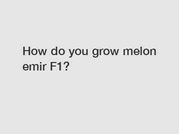 How do you grow melon emir F1?