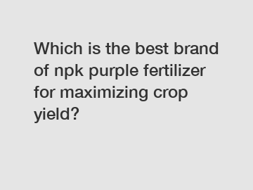 Which is the best brand of npk purple fertilizer for maximizing crop yield?