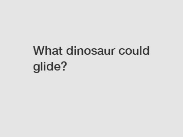 What dinosaur could glide?