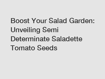 Boost Your Salad Garden: Unveiling Semi Determinate Saladette Tomato Seeds