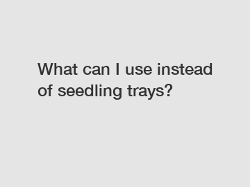 What can I use instead of seedling trays?