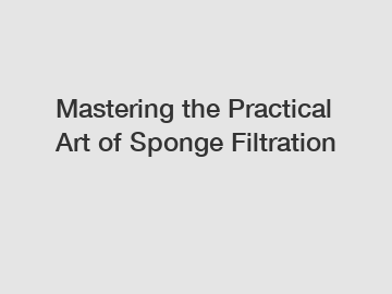 Mastering the Practical Art of Sponge Filtration