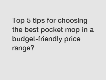 Top 5 tips for choosing the best pocket mop in a budget-friendly price range?