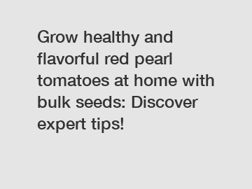 Grow healthy and flavorful red pearl tomatoes at home with bulk seeds: Discover expert tips!