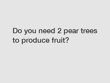 Do you need 2 pear trees to produce fruit?