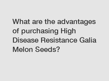 What are the advantages of purchasing High Disease Resistance Galia Melon Seeds?