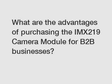 What are the advantages of purchasing the IMX219 Camera Module for B2B businesses?