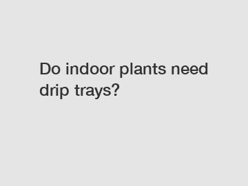 Do indoor plants need drip trays?
