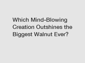 Which Mind-Blowing Creation Outshines the Biggest Walnut Ever?
