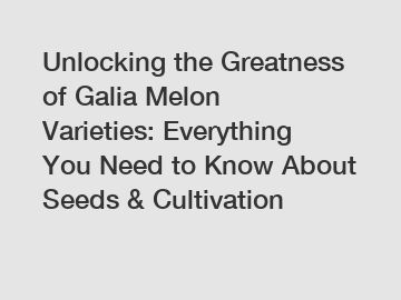 Unlocking the Greatness of Galia Melon Varieties: Everything You Need to Know About Seeds & Cultivation