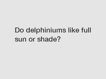 Do delphiniums like full sun or shade?