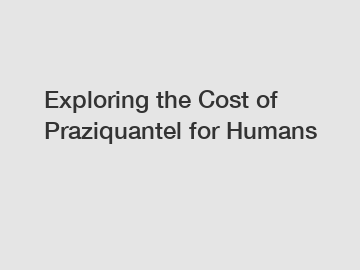Exploring the Cost of Praziquantel for Humans