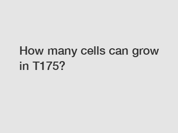 How many cells can grow in T175?