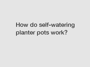 How do self-watering planter pots work?