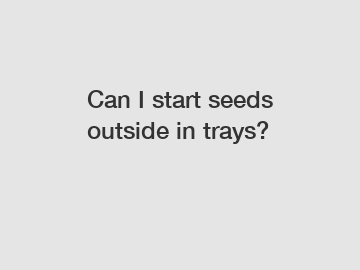 Can I start seeds outside in trays?