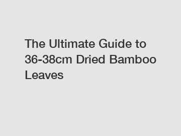 The Ultimate Guide to 36-38cm Dried Bamboo Leaves