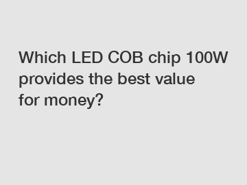 Which LED COB chip 100W provides the best value for money?