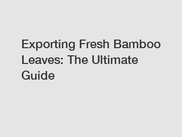 Exporting Fresh Bamboo Leaves: The Ultimate Guide