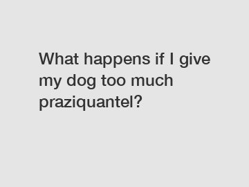 What happens if I give my dog too much praziquantel?