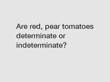 Are red, pear tomatoes determinate or indeterminate?