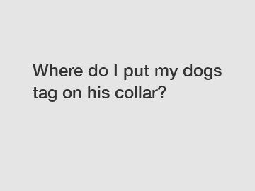 Where do I put my dogs tag on his collar?