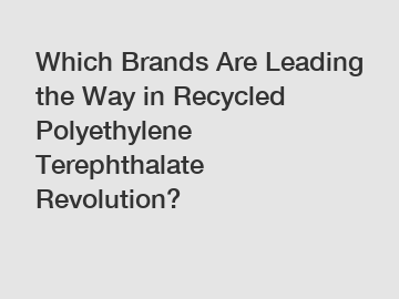 Which Brands Are Leading the Way in Recycled Polyethylene Terephthalate Revolution?