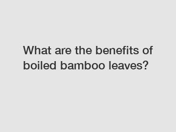 What are the benefits of boiled bamboo leaves?