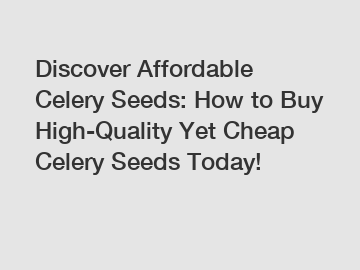 Discover Affordable Celery Seeds: How to Buy High-Quality Yet Cheap Celery Seeds Today!