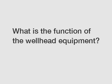 What is the function of the wellhead equipment?