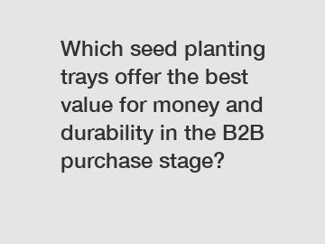 Which seed planting trays offer the best value for money and durability in the B2B purchase stage?