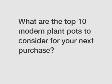 What are the top 10 modern plant pots to consider for your next purchase?