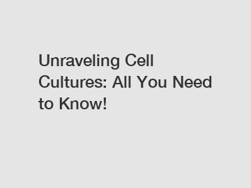 Unraveling Cell Cultures: All You Need to Know!