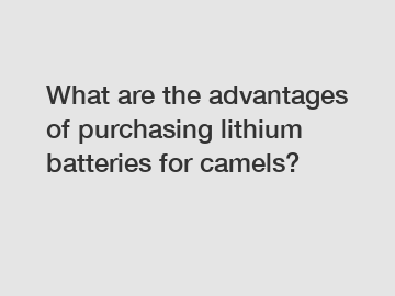 What are the advantages of purchasing lithium batteries for camels?