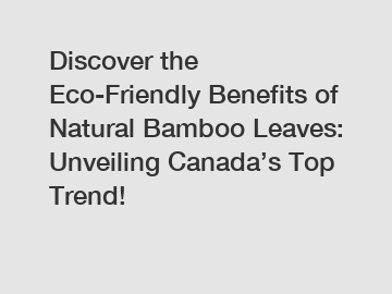 Discover the Eco-Friendly Benefits of Natural Bamboo Leaves: Unveiling Canada’s Top Trend!