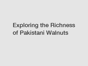 Exploring the Richness of Pakistani Walnuts