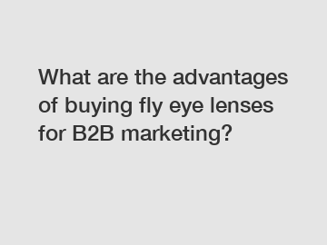 What are the advantages of buying fly eye lenses for B2B marketing?