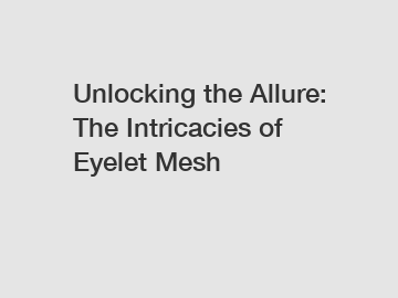 Unlocking the Allure: The Intricacies of Eyelet Mesh