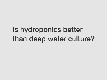 Is hydroponics better than deep water culture?