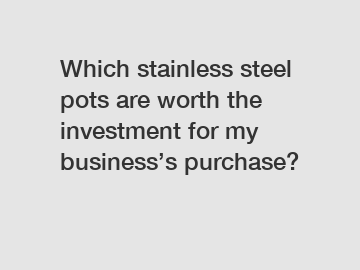 Which stainless steel pots are worth the investment for my business’s purchase?