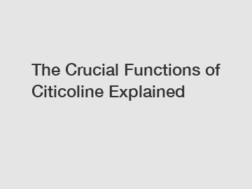 The Crucial Functions of Citicoline Explained