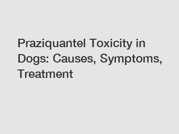 Praziquantel Toxicity in Dogs: Causes, Symptoms, Treatment