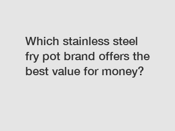 Which stainless steel fry pot brand offers the best value for money?