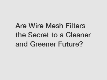 Are Wire Mesh Filters the Secret to a Cleaner and Greener Future?