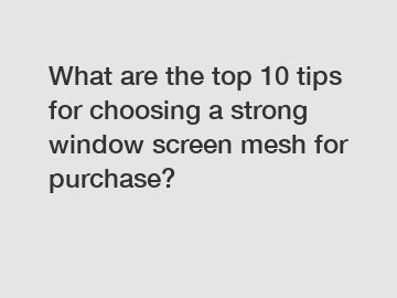 What are the top 10 tips for choosing a strong window screen mesh for purchase?